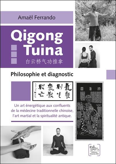 Qigong Tuina - Un art énergétique aux confluents de la médecine traditionnelle chinoise, l'art marti