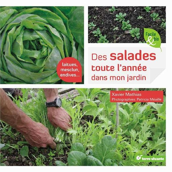 Des salades toute l'année dans mon jardin