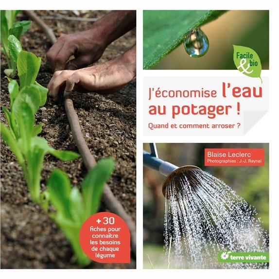 J'économise l'eau au potager ! Quand et comment arroser ?