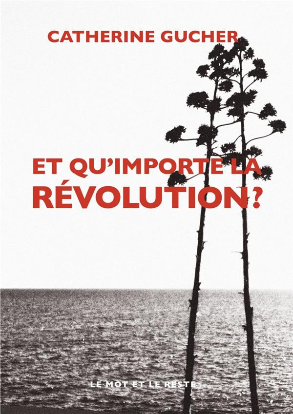 ET QU'IMPORTE LA REVOLUTION ?