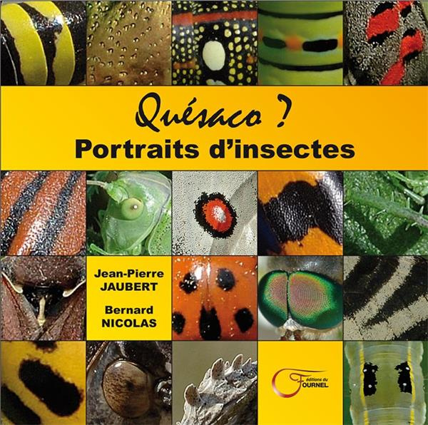 Quésaco ? Portraits d'insectes