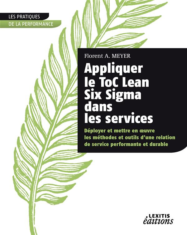 Appliquer le ToC Lean Six Sigma dans les services. Déployer et mettre en oeuvre les méthodes et outi