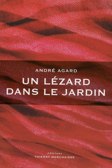 Un lézard dans le jardin