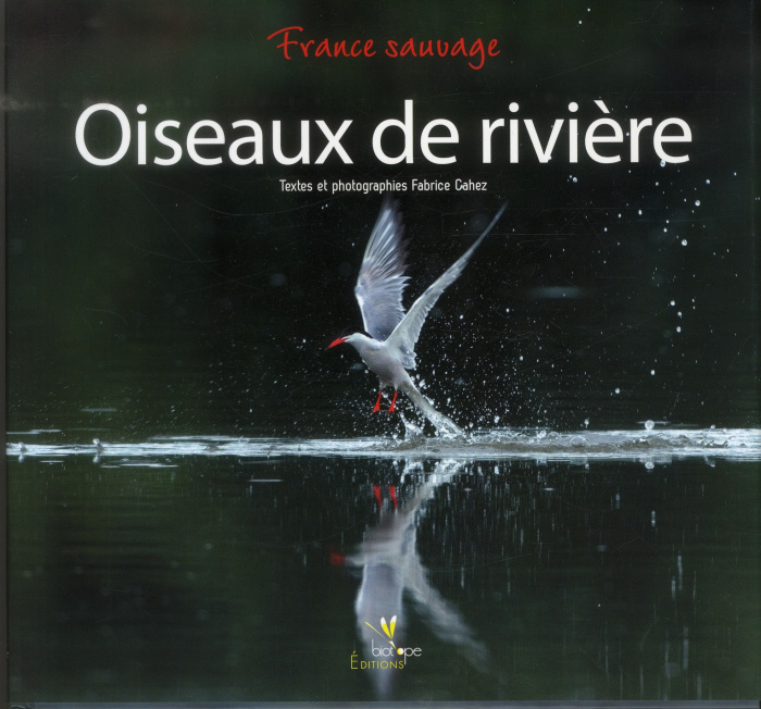 Oiseaux de rivière / France sauvage