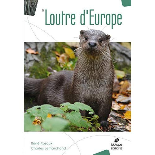 La loutre d'Europe