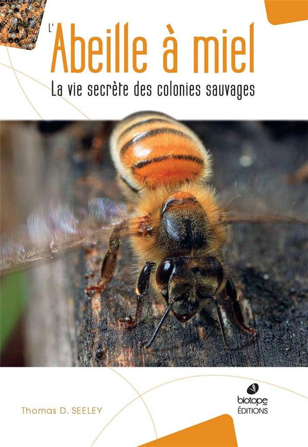L'abeille à miel - La vie secrète des colonies sauvages