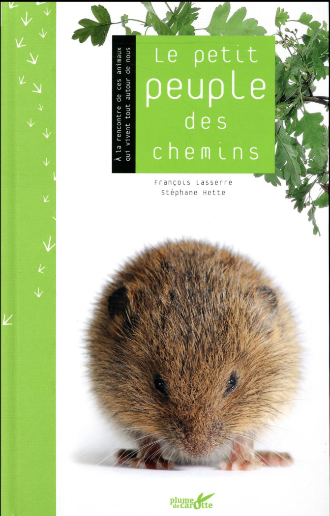 Le petit peuple des chemins. A la rencontre de ces animaux qui vivent tout autour de nous