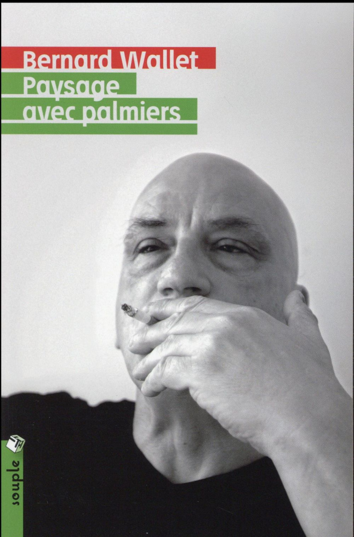 Paysage avec palmiers