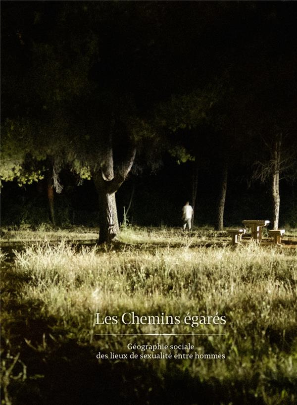 Les chemins égarés. Géographie sociale des lieux de sexualité entre hommes