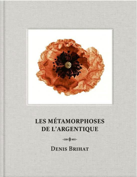 Les métamorphoses de l'argentique. Denis Brihat