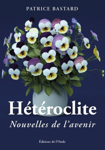 Hétéroclite