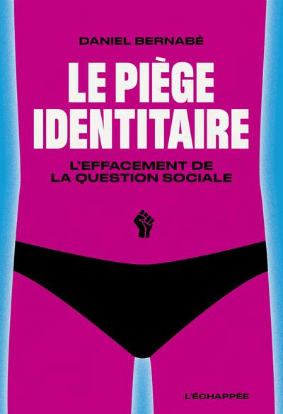 Le Piège identitaire. L’effacement de la question sociale