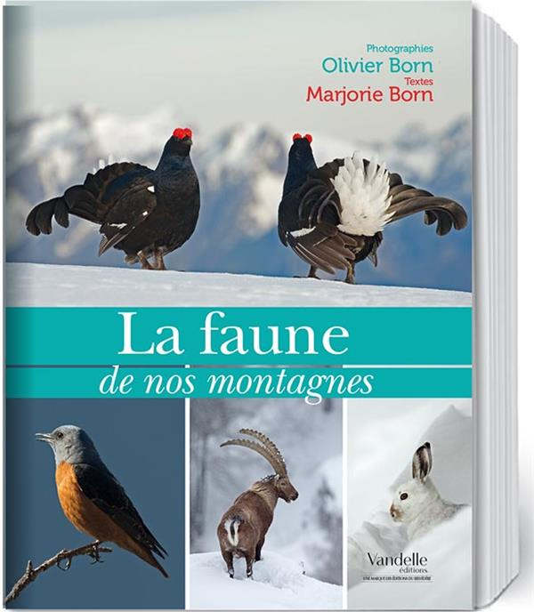 La faune de nos montagnes