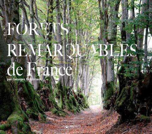 Les forêts remarquables