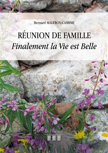 Réunion de famille. Finalement la vie est belle