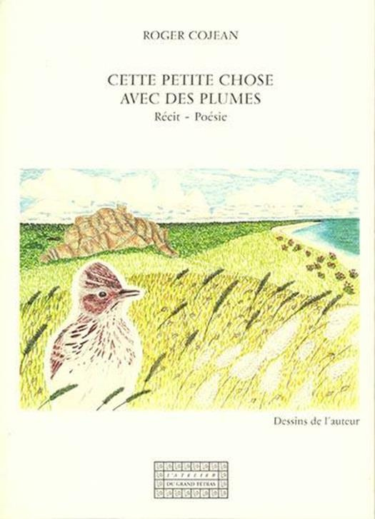 Cette petite chose avec des plumes - récit poésie
