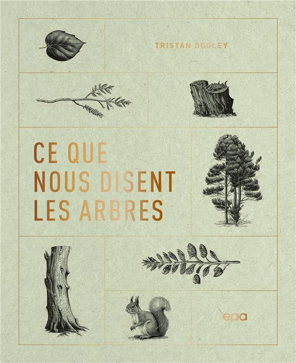 Ce que nous disent les arbres. Ces grands messagers de la nature