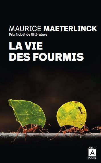 La vie des fourmis