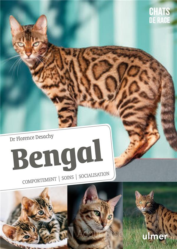 Bengal. Comportement, soins, socialisation