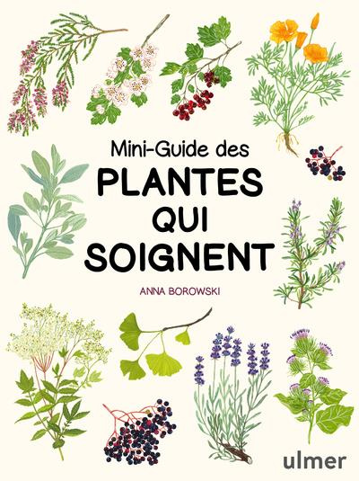 Mini-guide des plantes qui soignent