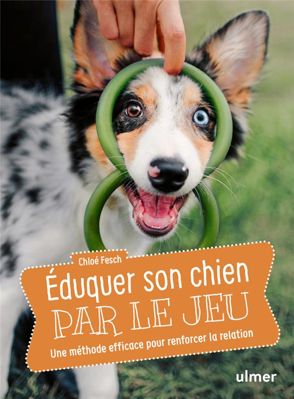 Eduquer son chien par le jeu. Une méthode efficace pour renforcer la relation