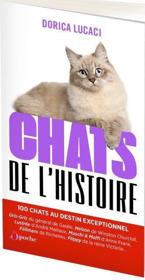Chats de l'histoire