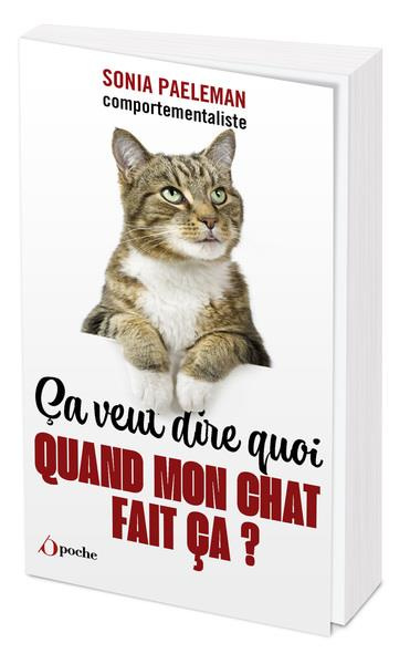 Ça veut dire quoi quand mon chat fait ça ? 35 questions que vous vous posez sur votre chat et ses co