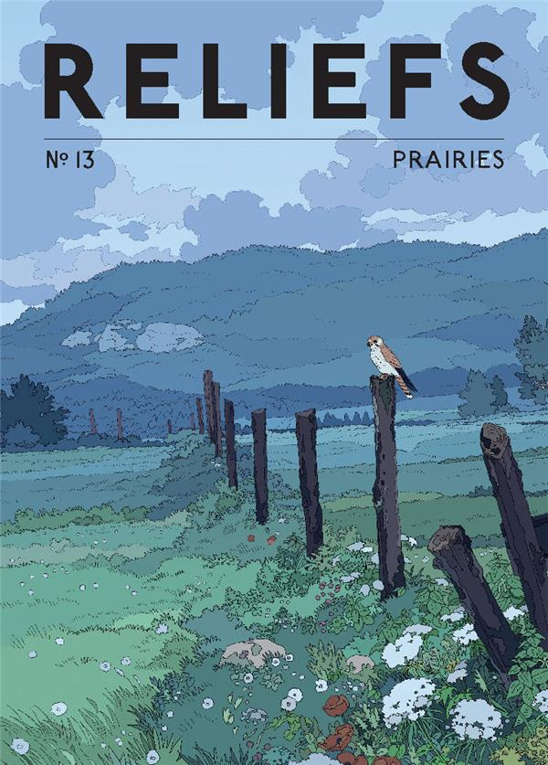 Reliefs N° 13 : Prairies