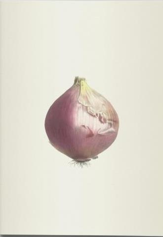 Plantes potagères. Cahier végétal