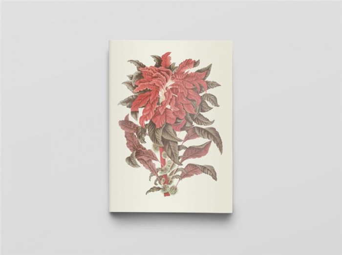 Carnet Fleurs, fruits et feuillages de Jav