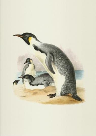 Erebus et terror en Antarctique. Carnet de notes