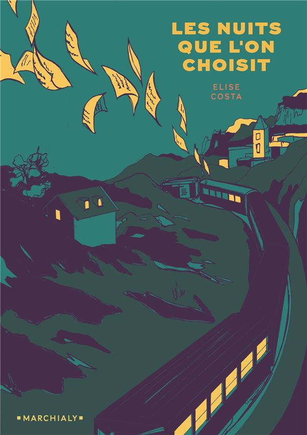 Les nuits que l'on choisit. Chroniques judiciaires en France