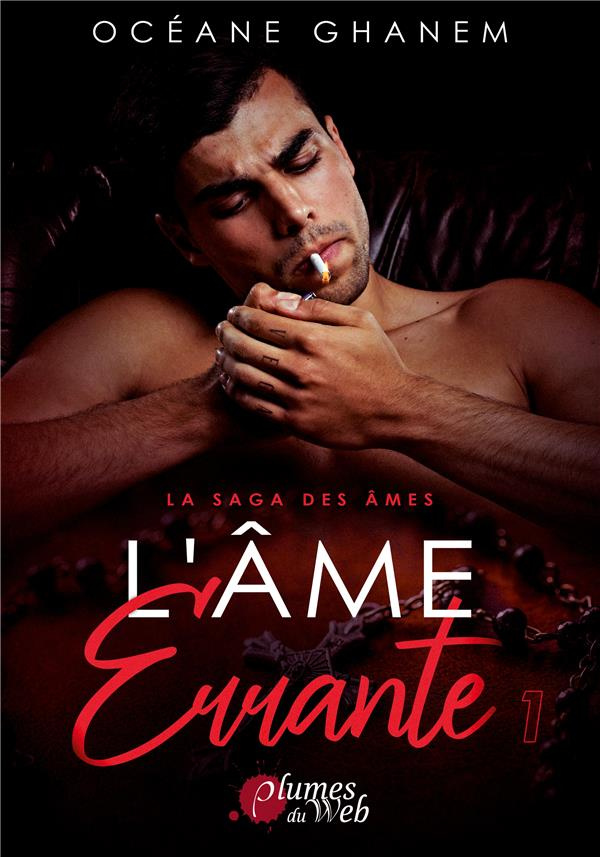 La saga des âmes : L'âme errante. Tome 1