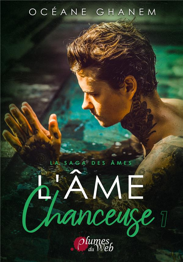 La saga des âmes : L'âme chanceuse. Tome 1