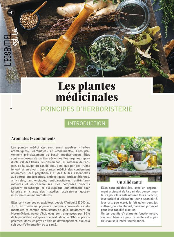 Les plantes aromatiques. Principes d'herboristerie