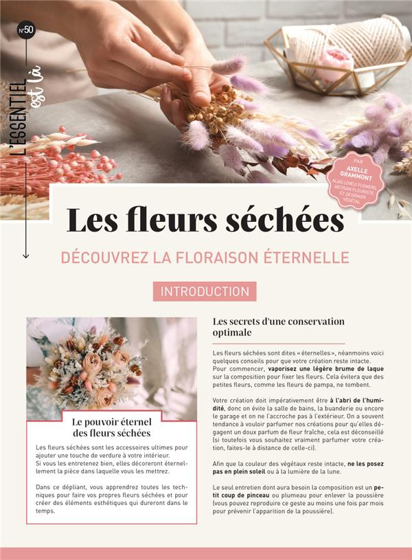Les fleurs séchées. Découvrez la floraison éternelle