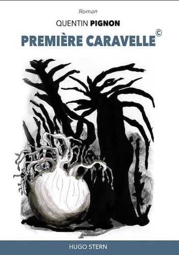 Premiere caravelle ©