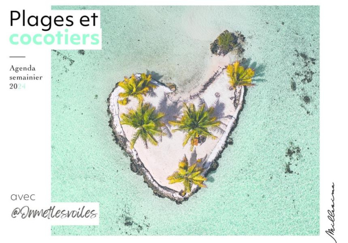 Agenda semainier Plage et cocotiers. Edition 2024
