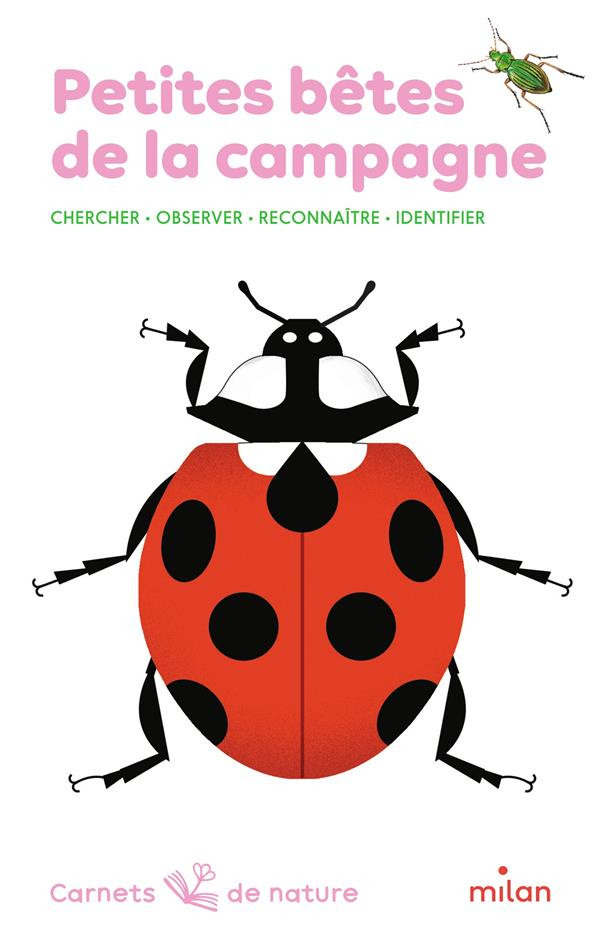 Petites bêtes de la campagne. Chercher, observer, reconnaître, identifier