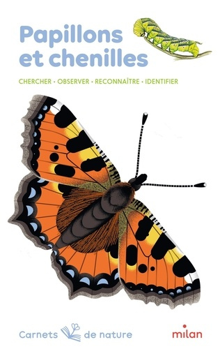 Papillons et chenilles. Chercher - observer - reconnaître - identifier