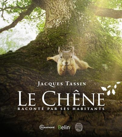Le chêne