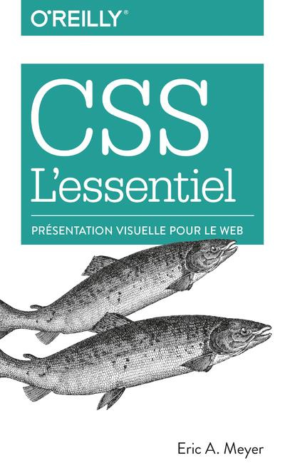 CSS l'essentiel. Présentation visuelle pour le web