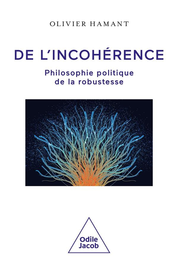 De l'incohérence. Philosophie politique de la robustesse