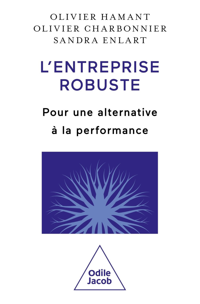 L'entreprise robuste. Pour une alternative à la performance