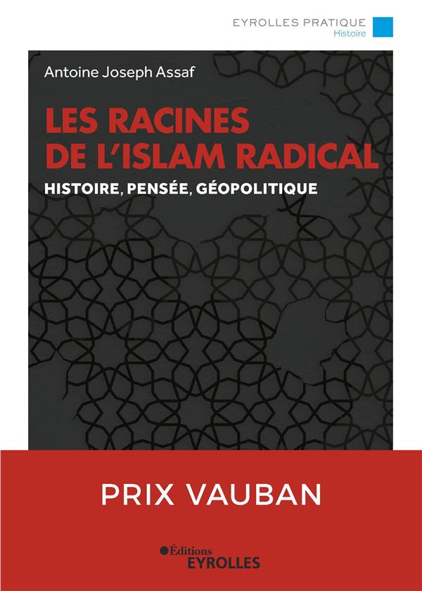 Les racines de l'Islam radical. Histoire, pensée, géopolitique