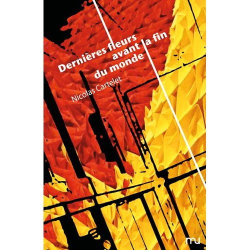 Dernières fleurs avant la fin du monde