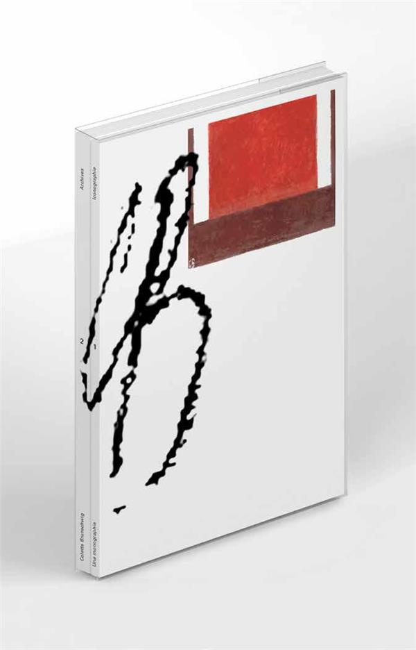 Colette Brunschwig. Peindre l'ultime espace, Edition bilingue français-anglais