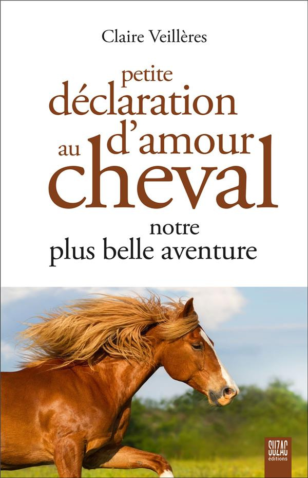 Petite déclaration d'amour au cheval. Notre plus belle aventure