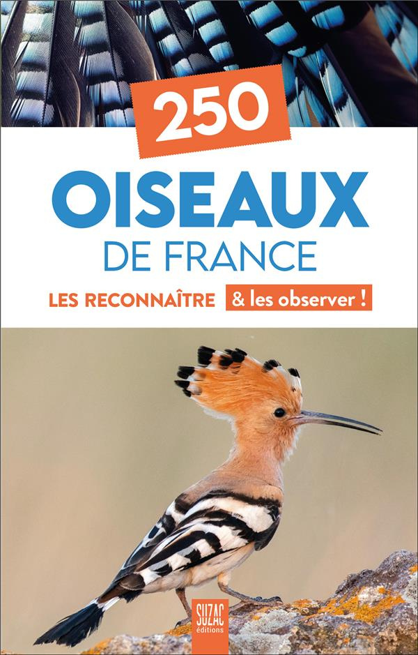 250 Oiseaux de France. Les reconnaître & les observer !