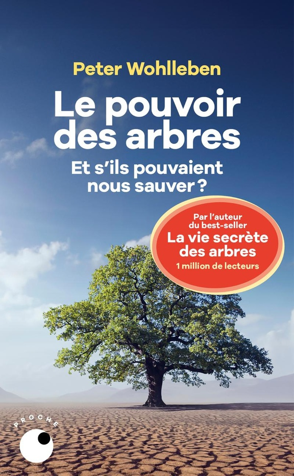 Le pouvoir des arbres. Et s'ils pouvaient nous sauver ?